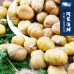 【阿家海鮮】冷凍熟板栗仁 (1kg±10%/包)